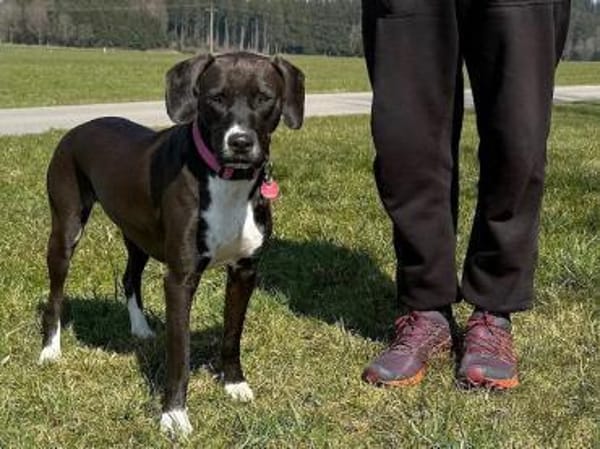 Cilla sucht geduldige Menschen