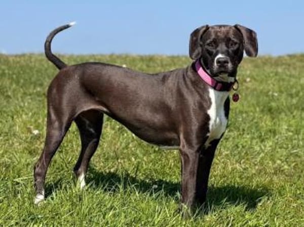 Cilla sucht geduldige Menschen