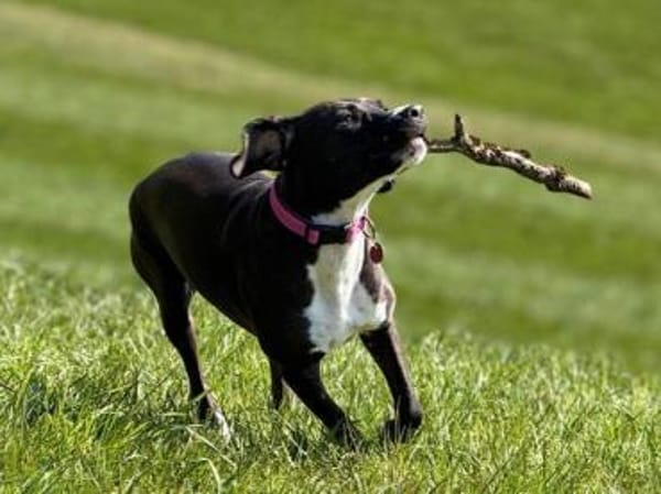 Cilla sucht geduldige Menschen