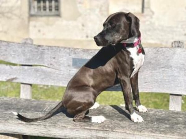 Cilla sucht geduldige Menschen