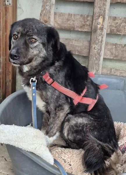 SALSA auf PS in 65... Hünfelden