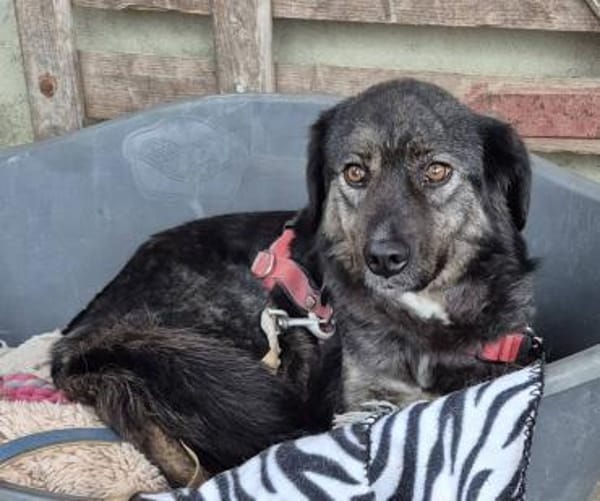 SALSA auf PS in 65... Hünfelden