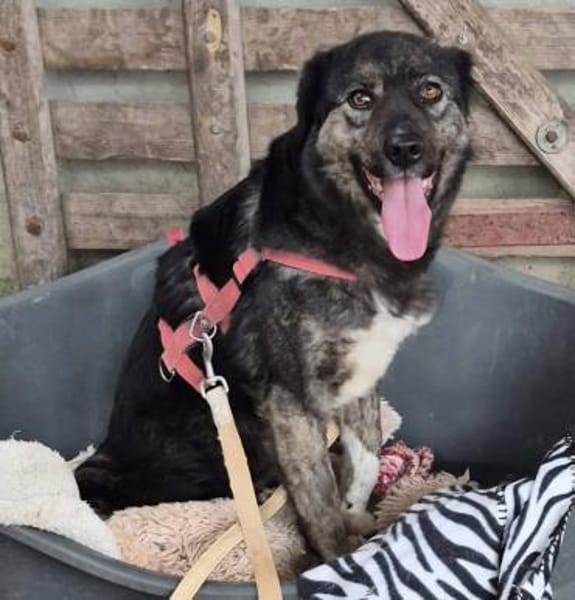 SALSA auf PS in 65... Hünfelden