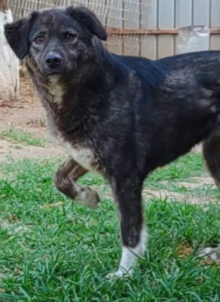 SALSA auf PS in 65... Hünfelden