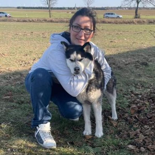 Agile, ältere Husky Hündin