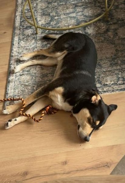 Aarne sucht Erfahrene Menschen