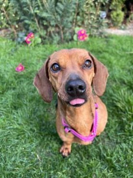 Gundi sucht ihre Herzensmenschen