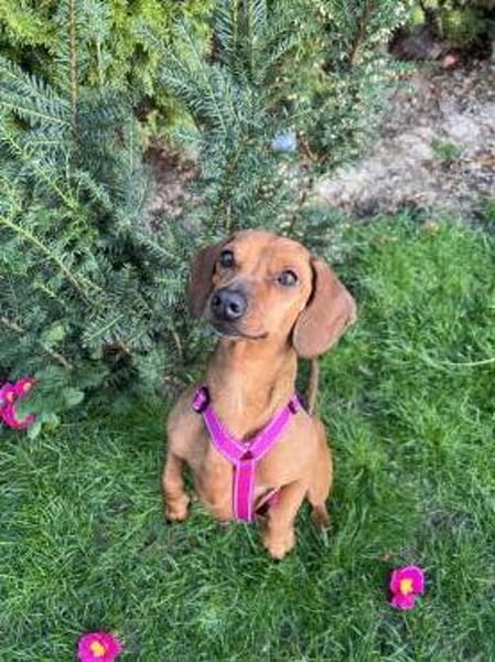 Gundi sucht ihre Herzensmenschen