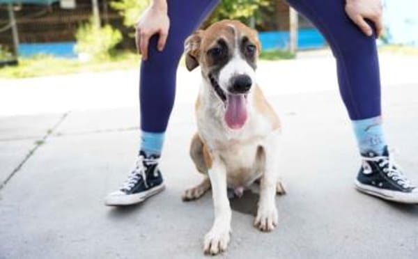 Benjamin Blümchen sucht dich