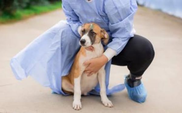 Benjamin Blümchen sucht dich