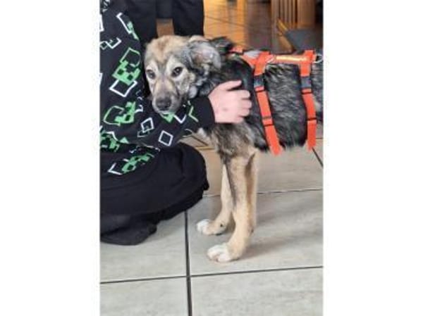 Judybelle - 66482 Zweibrücken