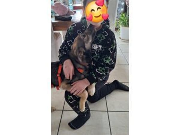 Judybelle - 66482 Zweibrücken