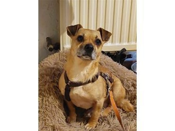 Klein-Benny - 51371 Leverkusen