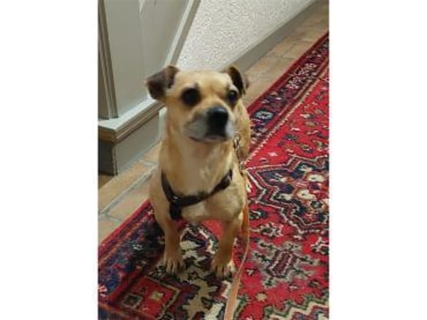 Klein-Benny - 51371 Leverkusen