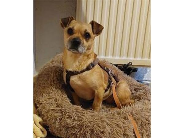 Klein-Benny - 51371 Leverkusen