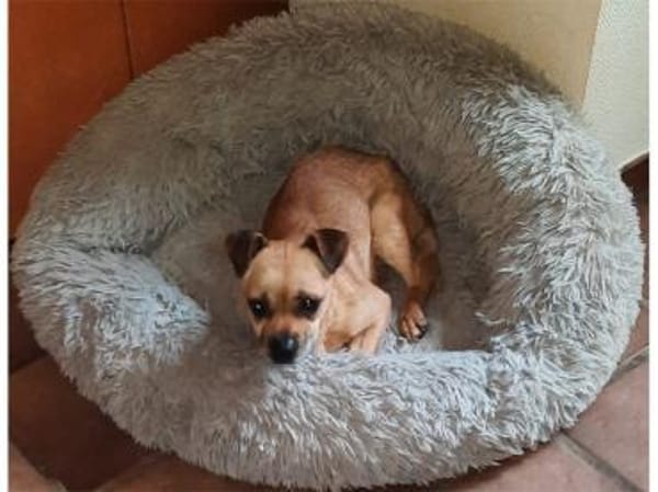 Klein-Benny - 51371 Leverkusen