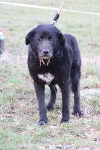 Kami - lieb u. angenehm