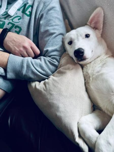 Skye - clevere Junghündin mit Herz