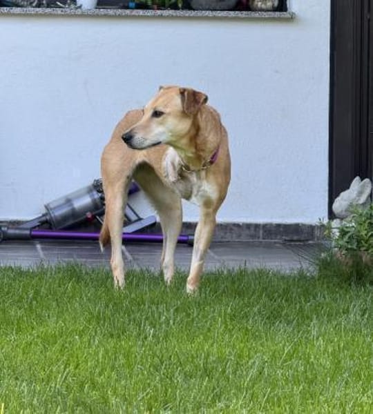 Aurelia hat es mehr als verdient!