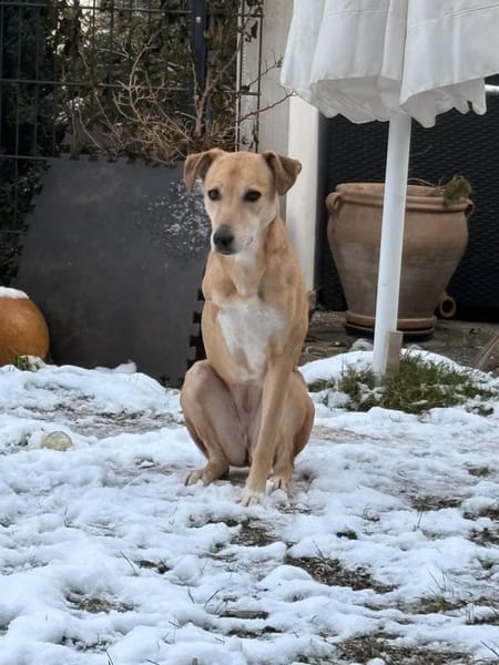 Aurelia hat es mehr als verdient!