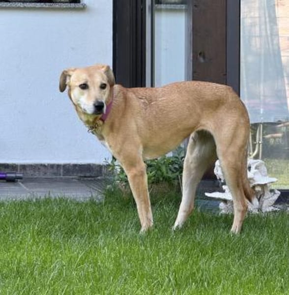 Aurelia hat es mehr als verdient!