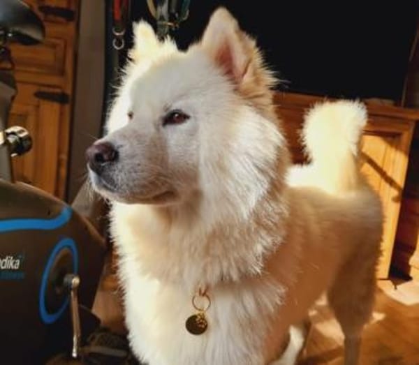 Über Tofu  mags eher ruhiger