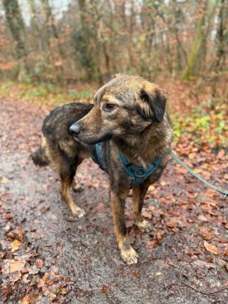 Janosch sucht noch immer seine Familie