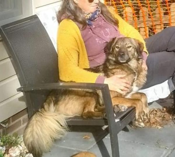 Janosch sucht noch immer seine Familie