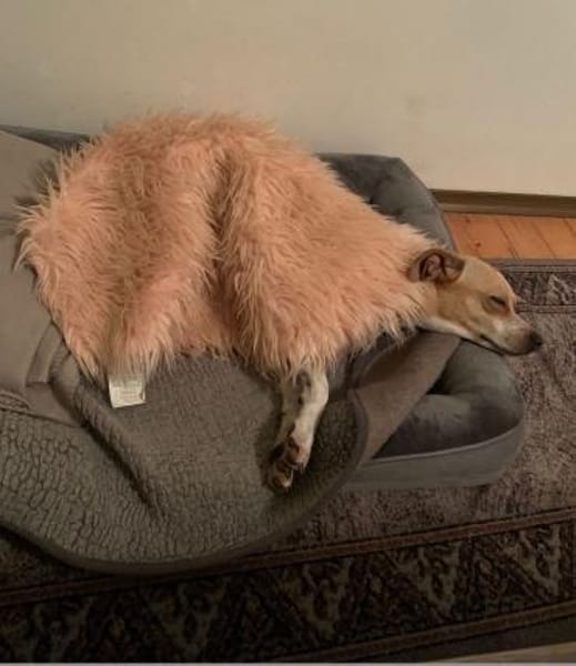 Nowa W 08/23 in 93155 Hemau