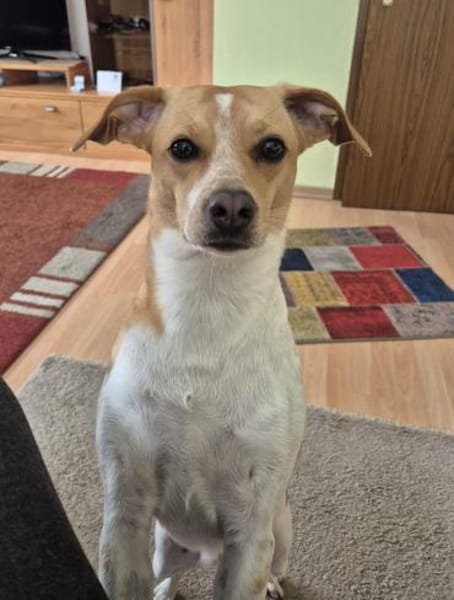 Nowa W 08/23 in 93155 Hemau