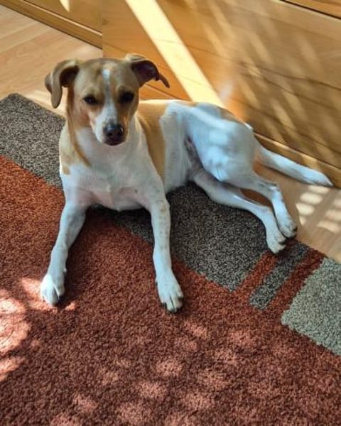 Nowa W 08/23 in 93155 Hemau