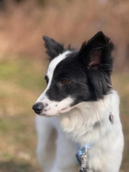 Yin  zwischen Vergangenheit & Neustart