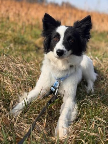 Yin  zwischen Vergangenheit & Neustart