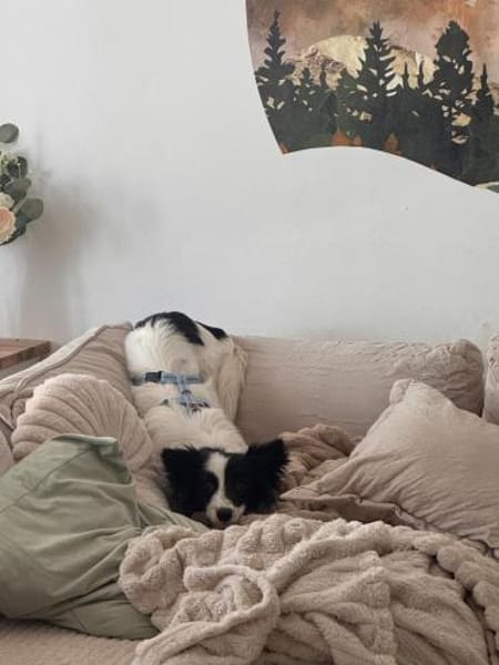 Yin  zwischen Vergangenheit & Neustart