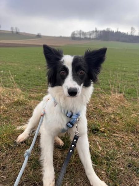 Yin  zwischen Vergangenheit & Neustart