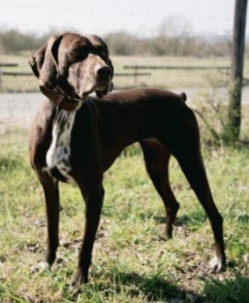 Asia, freundlich, lernwillig, offen