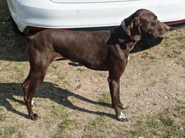 Asia, freundlich, lernwillig, offen