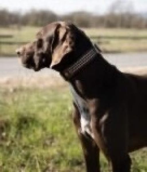 Asia, freundlich, lernwillig, offen