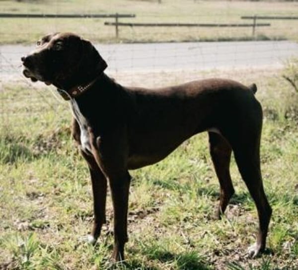 Asia, freundlich, lernwillig, offen