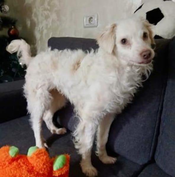 Faya hofft gesehen zu werden 🍀