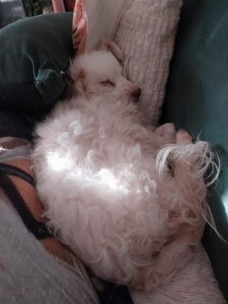 Faya hofft gesehen zu werden 🍀