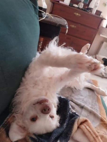 Faya hofft gesehen zu werden 🍀