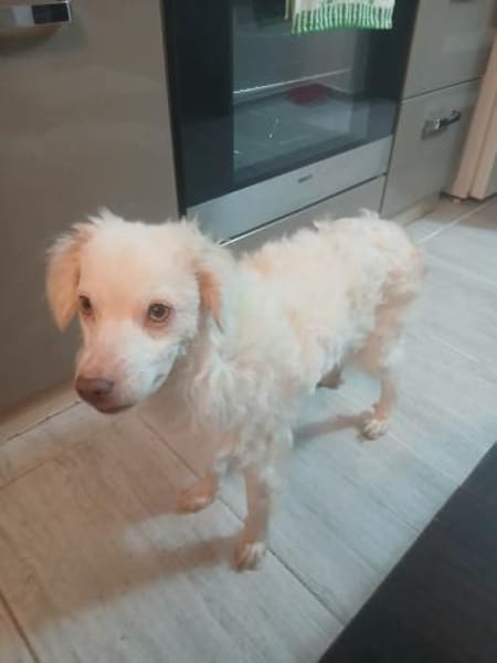 Faya hofft gesehen zu werden 🍀