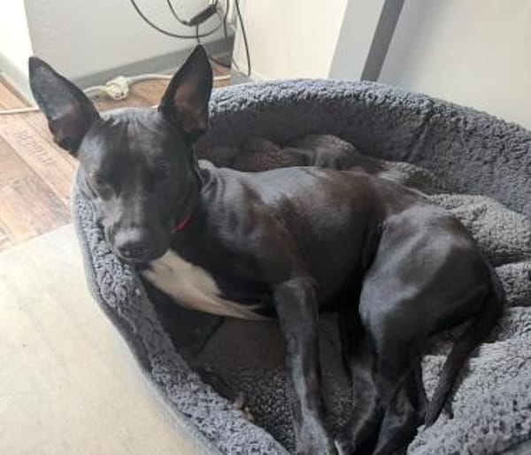 TRINI-EINFACH ZAUBERHAFT