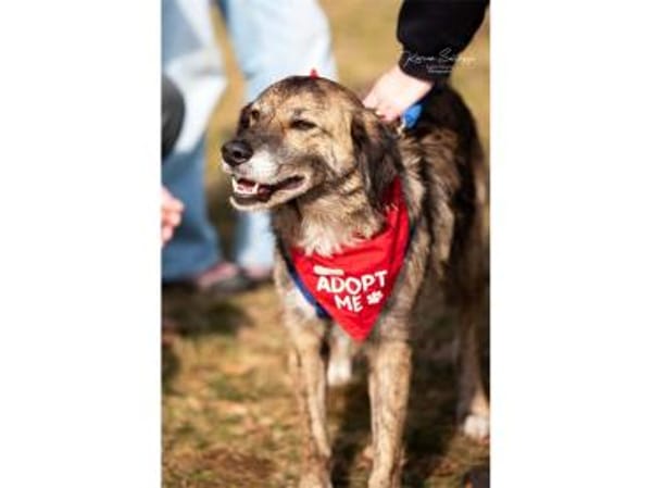 Loumes - wartet in 97714 Oerlenbach