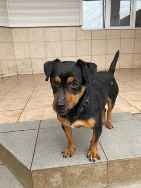 Liza sucht liebe Familie