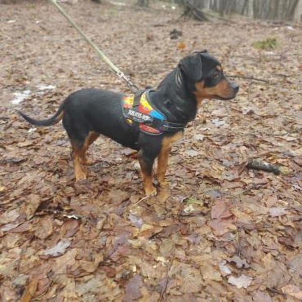 Liza sucht liebe Familie