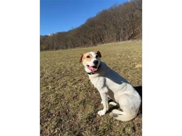 Debbie wartet in 01239 Dresden