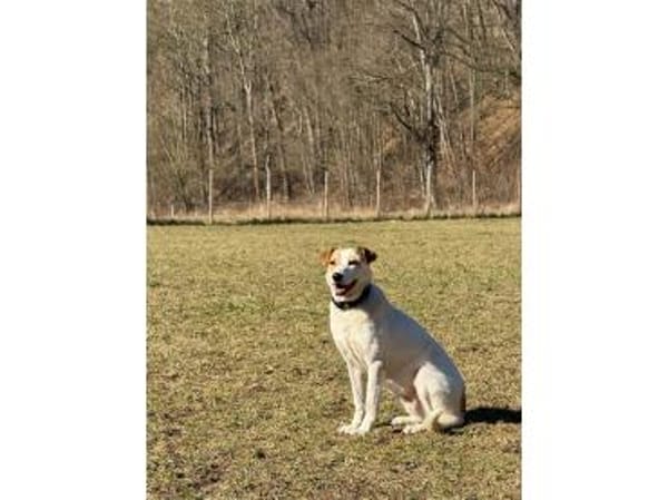 Debbie wartet in 01239 Dresden