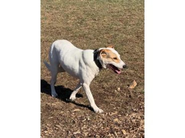 Debbie wartet in 01239 Dresden